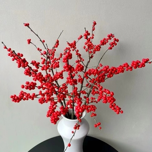 可做干花 包邮 家庭装 云南 直发 饰摆件 北美冬青