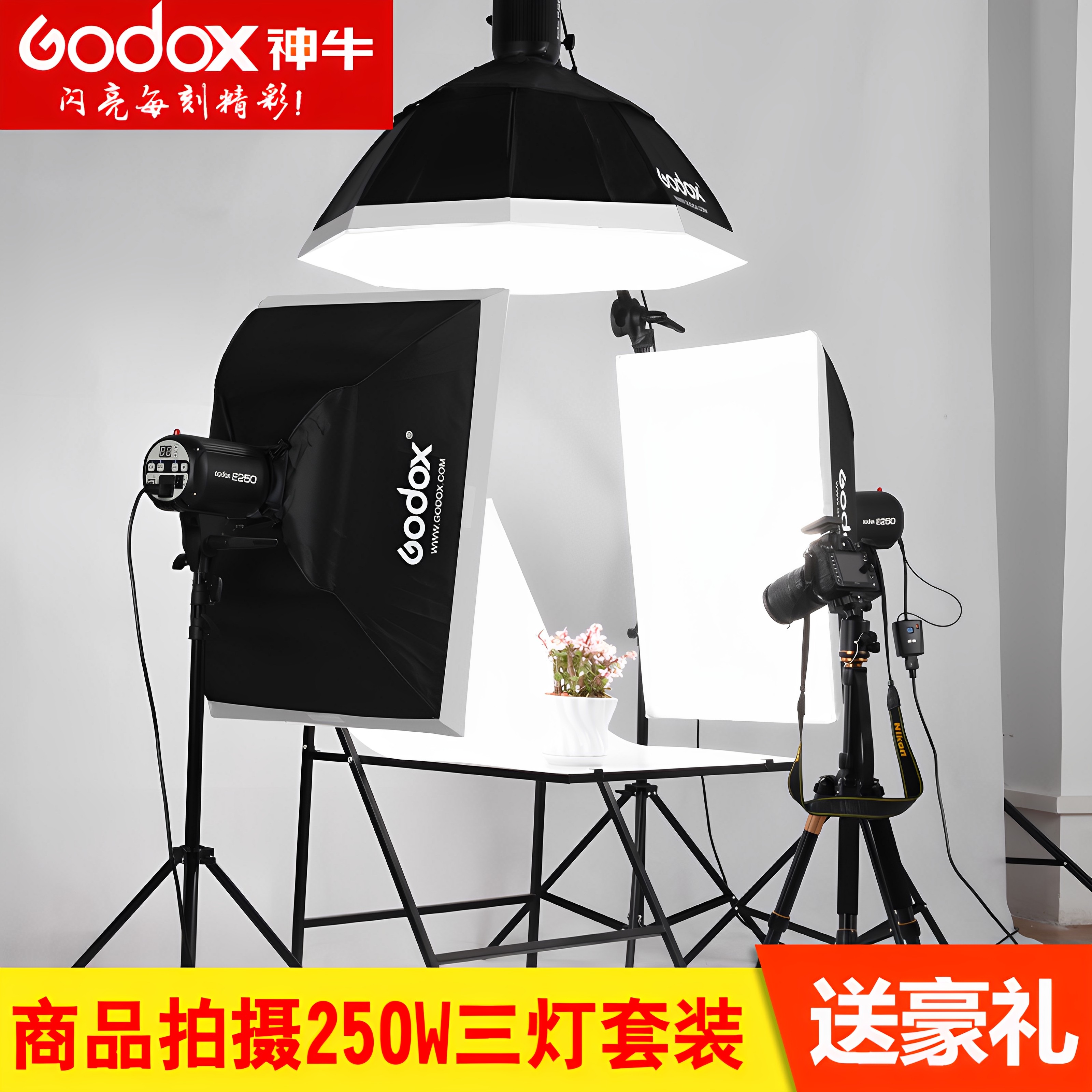 (官方正品)神牛250W证件照闪光灯图片
