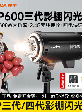 Godox神牛DP600III三代/四代专业摄影灯闪光灯600w室内人像广告拍