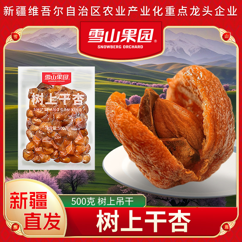 雪山果园树上干杏新疆杏干吊死干