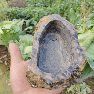 石头狗盆狗碗猫碗狗狗水碗狗食盆防打翻猫咪用品防打翻食盆宠物