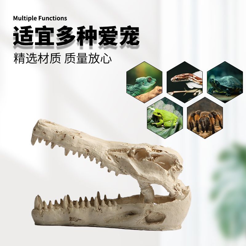 仿真恐龙头骨爬宠躲避屋鱼缸造景