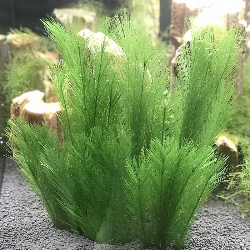 新款观赏专用繁殖鱼巢仿真水草
