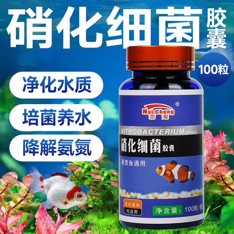 活性硝化细菌胶囊硝化菌空气缸鱼缸净水剂高浓度水族净化清澈水质