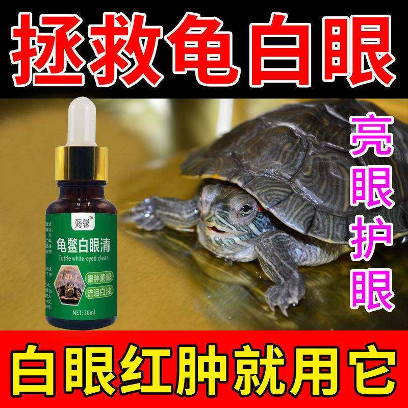 乌龟白眼清巴西龟幼龟去除眼睛睁不开白眼红眼肿眼细菌感染专用