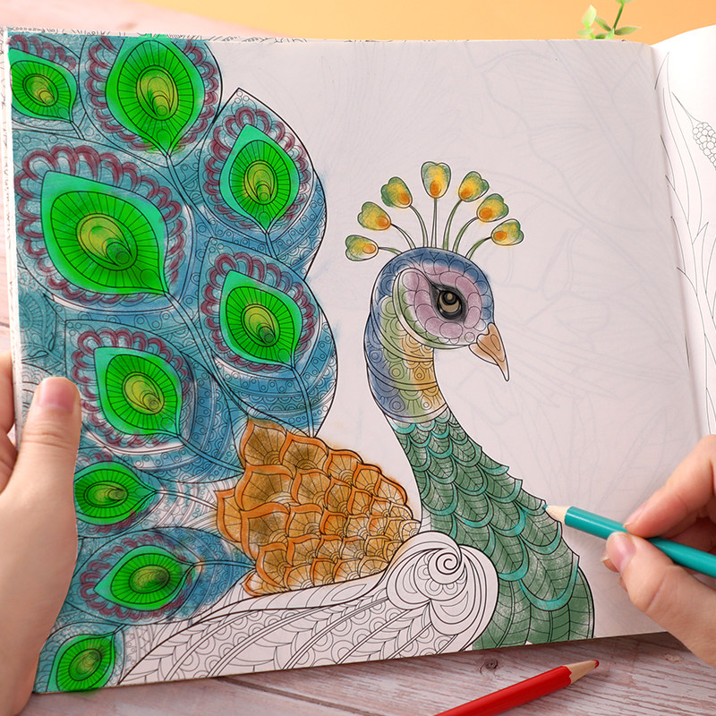 秘密花园涂色书小学生成人大人减压涂画填色儿童解压简笔画手绘本