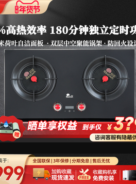 红日红外线燃气灶双灶家用嵌入式天然气煤气炉灶台聚能灶具T5S