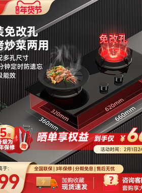 红日燃气灶双灶家用红外线灶台嵌两用免改孔天然气定时炉灶EX16B