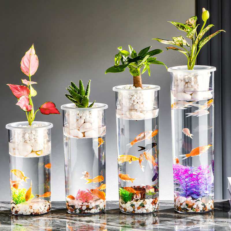 圆柱形直筒创意高清高透插花水养水培植物花瓶竹立式生态斗鱼鱼缸