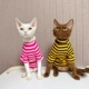 咔啦咪斯芬克斯无毛猫德文猫衣服纯棉高弹力条纹插肩袖 柔软春夏