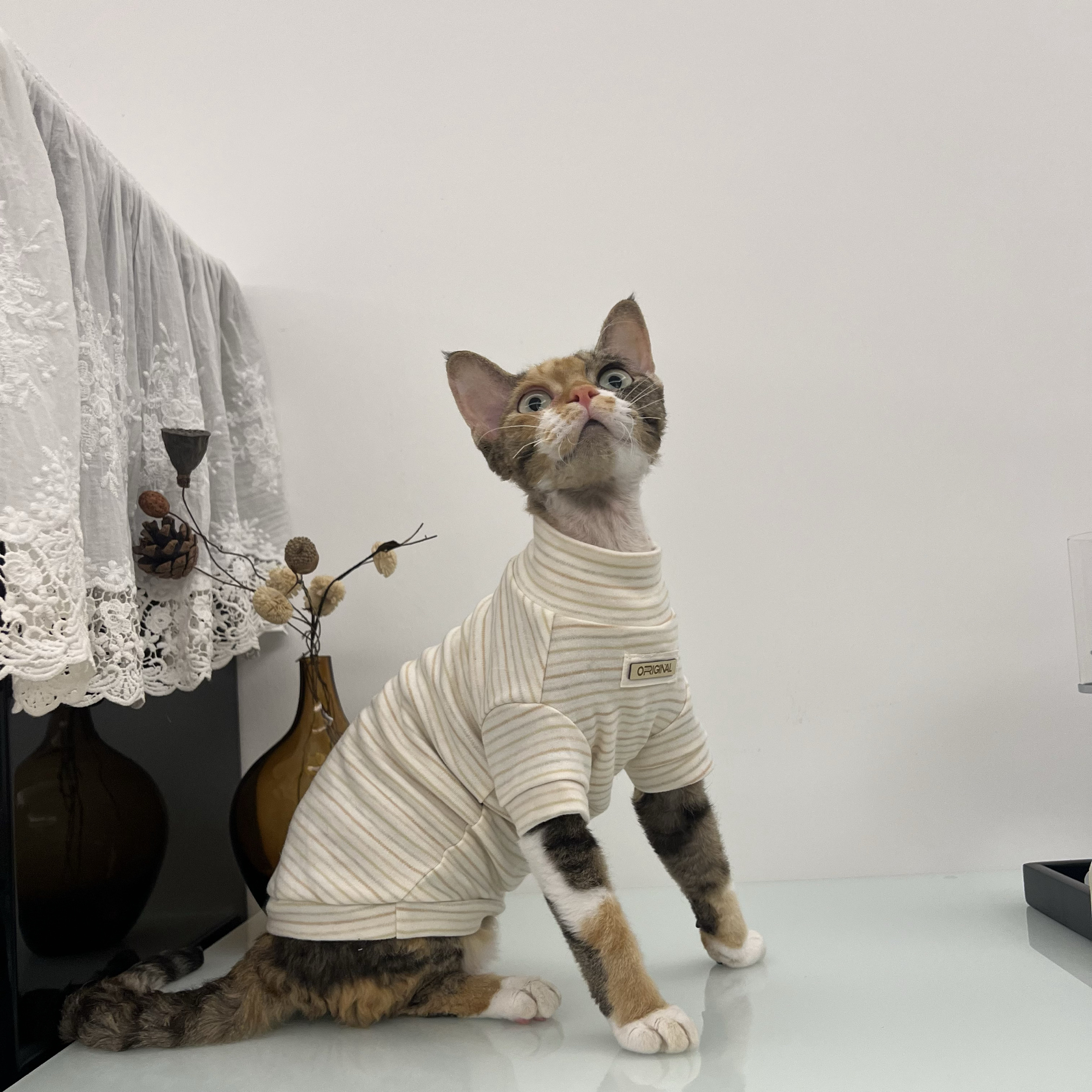 保暖秋冬柔软舒适高领纯棉打底衫