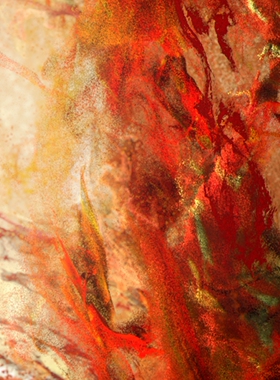 10.11新发，女装类目