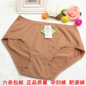 包邮 雅岱莉613中高腰纯棉包臀女士大码 三角内裤 6条 高弹力肥婆内裤