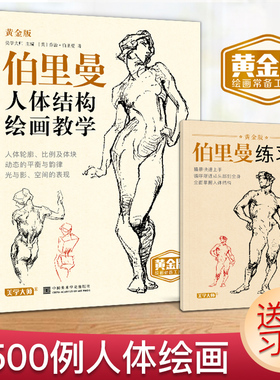 美学大师黄金版伯里曼人体结构绘画教学人物速写入门手绘基础临摹书描摹本构造解剖教材人体素描书籍原理和教程素描速写美术生专用