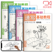 植物动物风景人物 速写基础教程套装 视频同步教程 全集 经典
