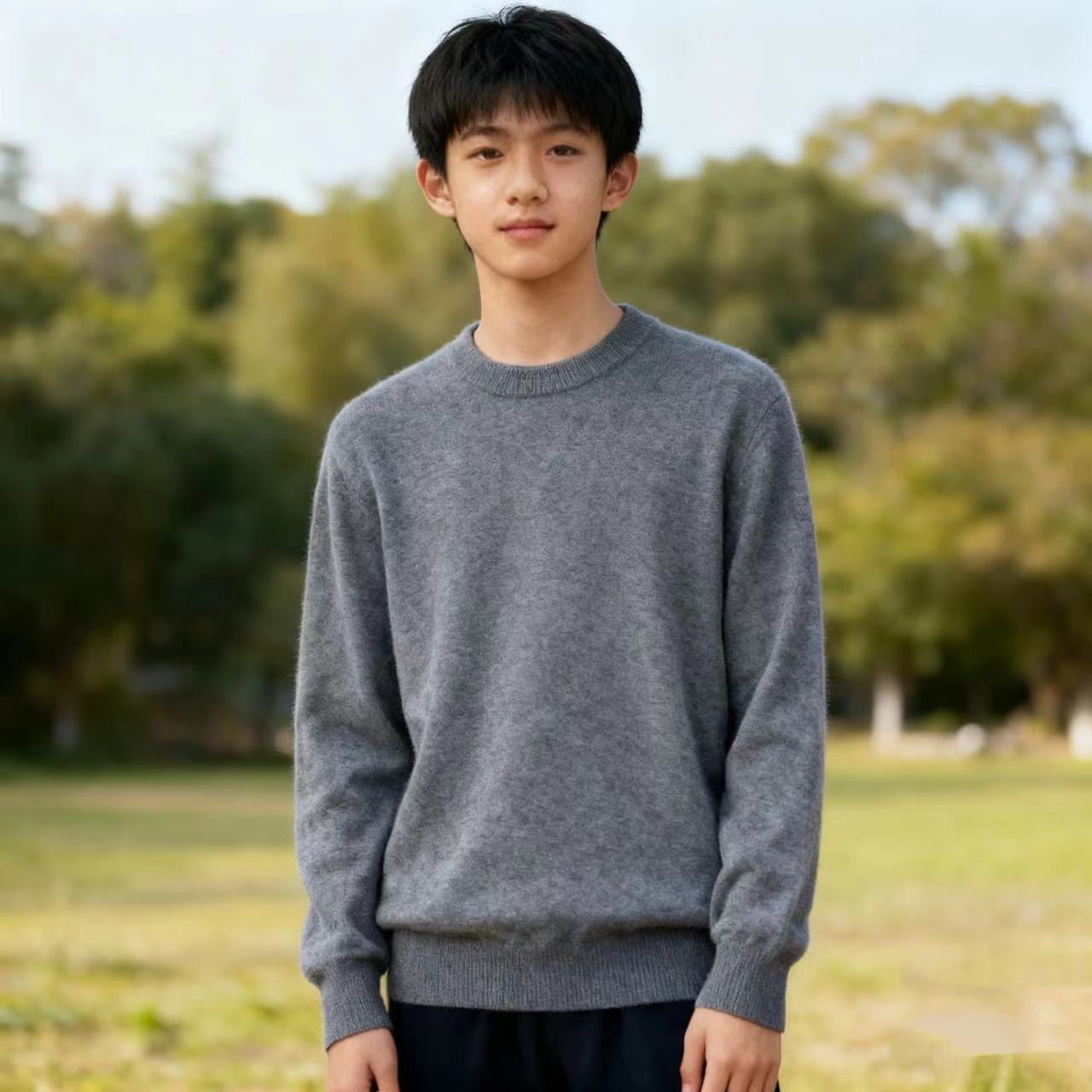 红叶云台纯羊毛衫男士冬季圆领保暖休闲羊绒大码针织打底衫毛衣潮