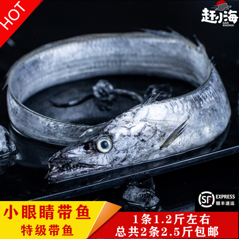 狂野鲜生带鱼包邮新鲜
