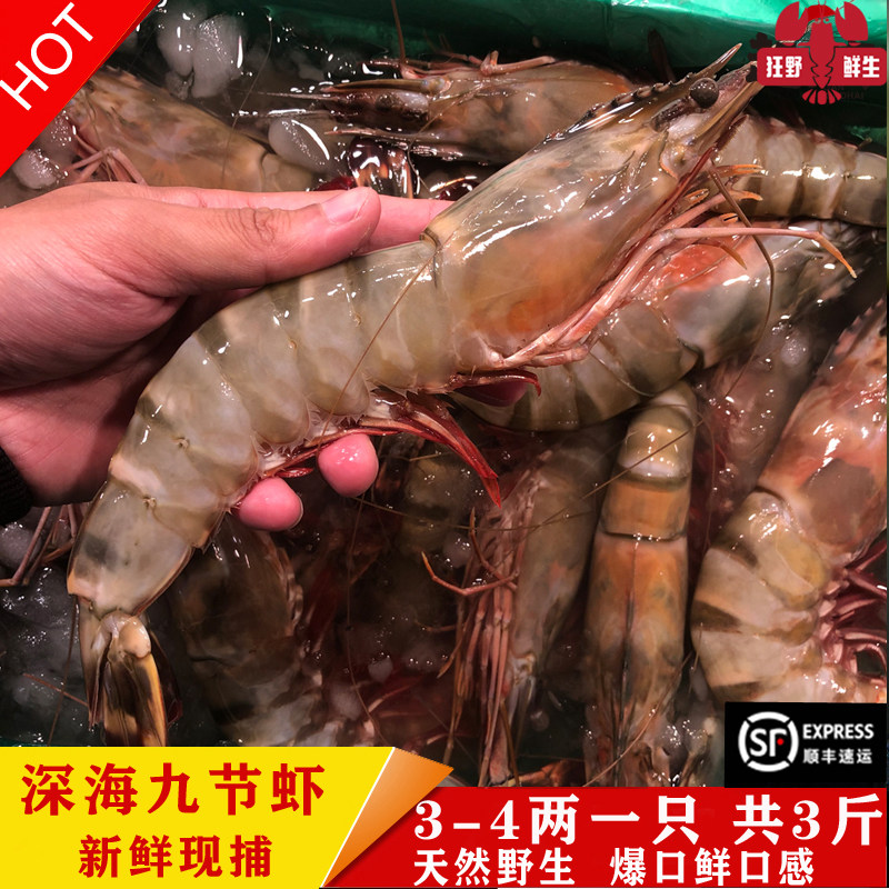 东海海捕冰鲜野生超大海虾现捕现捞深海九节虾红膏虾会所礼盒 3斤