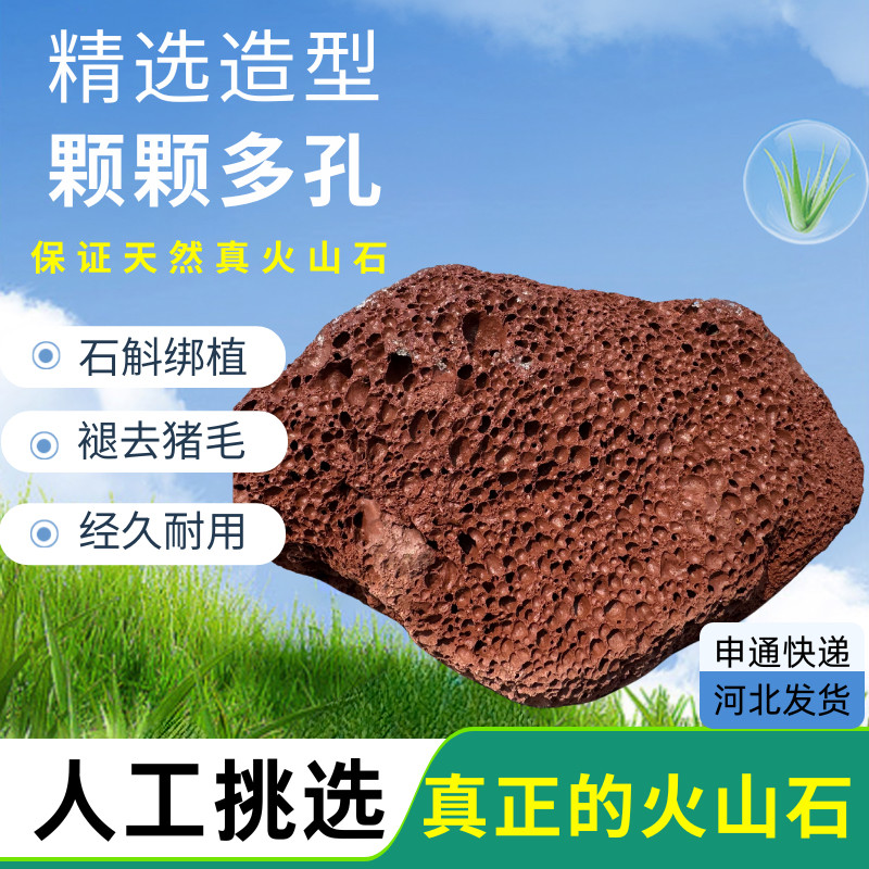 多孔火山石磨脚石去死皮褪猪毛大块火山石石斛绑植易走根园艺种植