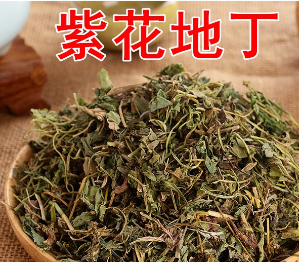 中药紫花地丁 正品苦地丁草茶 新鲜干货 非同仁堂 500