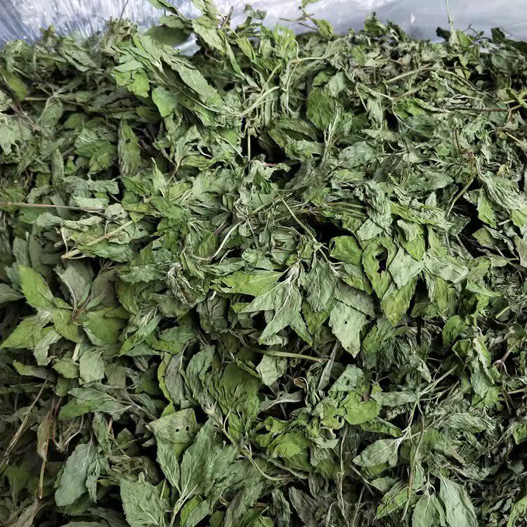 薄荷叶新鲜干货散装食用薄荷茶叶子泡水中药材散装薄荷干叶可磨粉