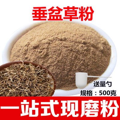 垂盆草粉中药材垂盆草精选干垂盆草现磨粉老鼠芽草药500克包邮