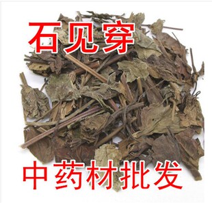 中药材石见穿 紫参 石打穿月下红石见川 石大川 新货500g包邮