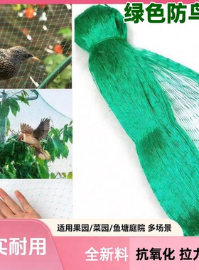 绿色防鸟网拦鸟网聚乙烯挤出网加厚网果树葡萄养殖网大棚网网罩