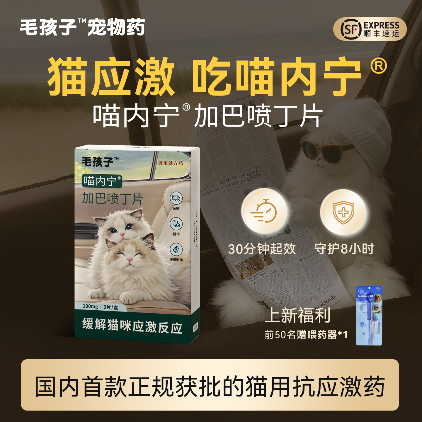 毛孩子喵内宁加巴喷丁