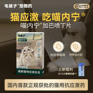 毛孩子喵内宁加巴喷丁猫用片剂猫咪防应激药止疼舒缓情绪抗应激药