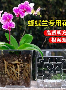 树脂江苏简约质量好便宜