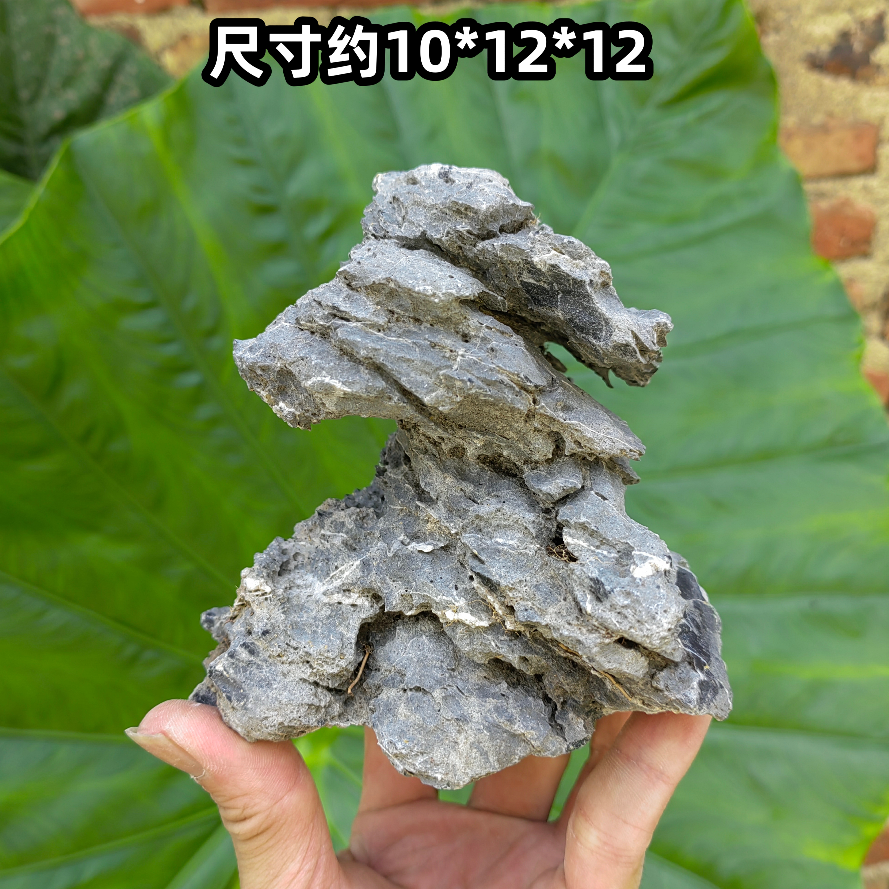 天然青龙石鱼缸水陆缸造景石微景观盆景摆件装饰小石头草缸奇形