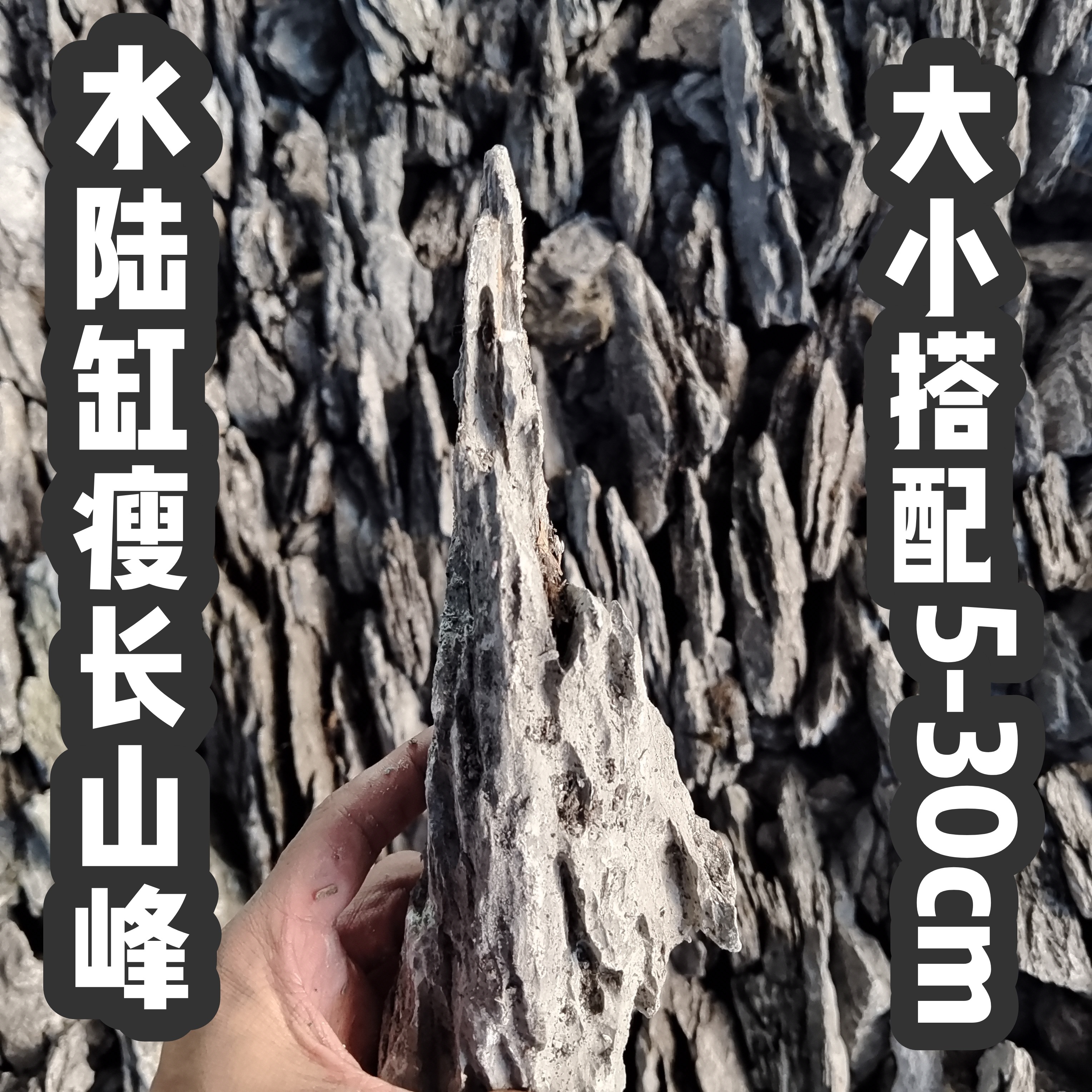 产地直发青龙石鱼缸水陆缸造景石假山附树微景观生态草缸小块青龙,宠物/宠物食品及用品,造景/装饰,淘宝优惠券,粉丝福利购,淘宝优惠卷