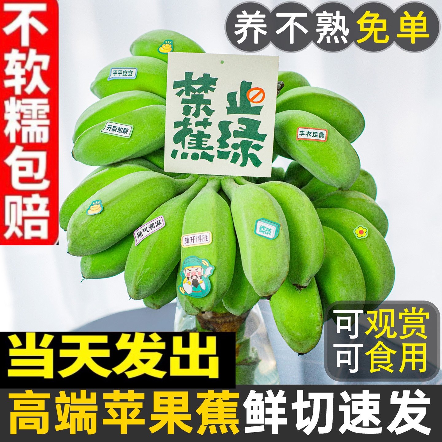 福建苹果香蕉新鲜水果整串禁止蕉绿水培芭蕉小米蕉网红绿植整箱,水产肉类/新鲜蔬果/熟食,香蕉,淘宝优惠券,粉丝福利购,淘宝优惠卷