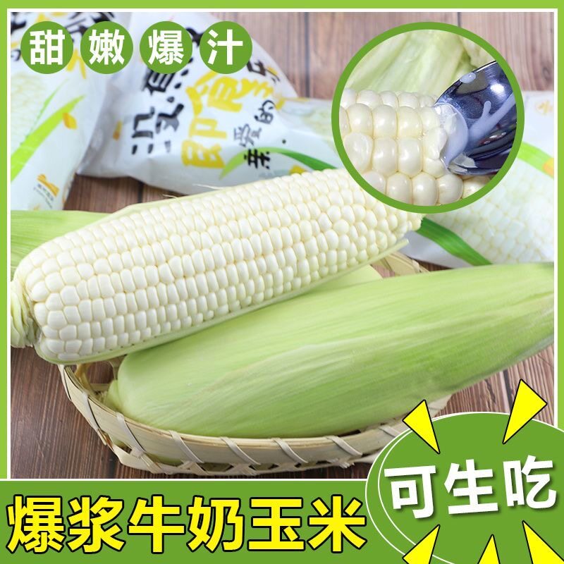 漳州牛奶水果玉米开袋即食新鲜现摘甜嫩糯代餐爆浆冰糖可生吃玉米