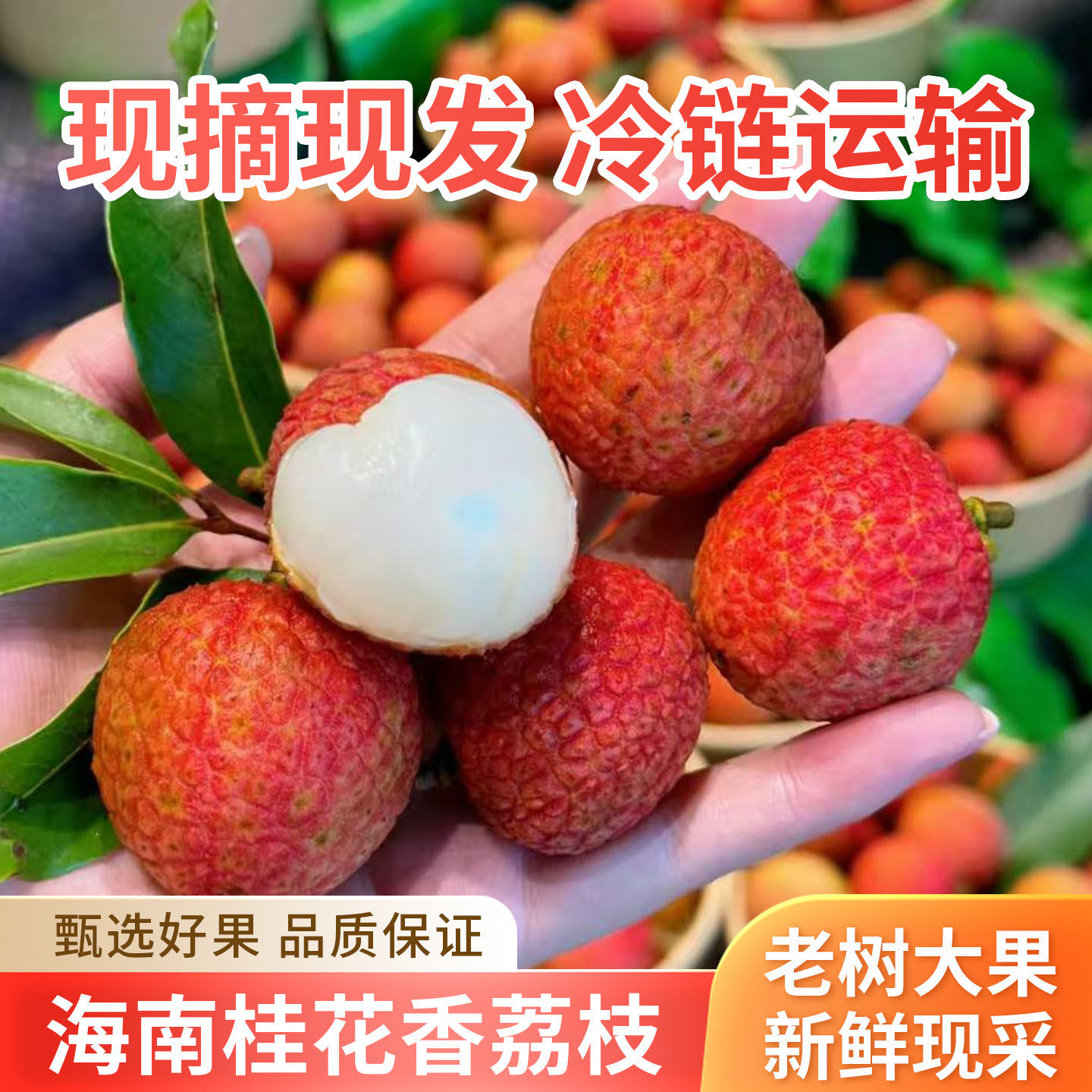 海南头茬桂花香荔枝冷链产地直发