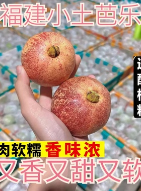 【童年小芭乐】香软甜红心番石榴小土芭乐罕见水果新鲜儿时味道