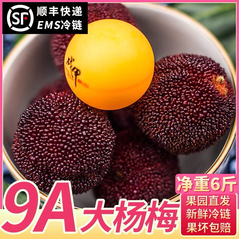 杨梅新鲜东魁7斤礼盒时令水果现摘现发顺丰次日达整箱包邮大果甜