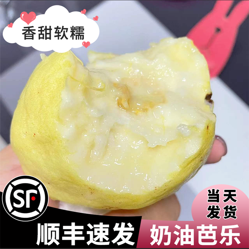 黄金奶油芭乐软糯白心番石榴低脂台湾水果新鲜孕妇广西胭脂红包邮