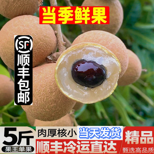 顺丰包邮【当天发货】储粮甜龙眼