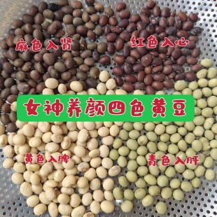 农家老品种黄豆青皮黄皮麻皮红皮四色养颜豆打豆浆专用喝出好气色