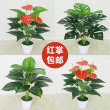 饰植物落地塑料假盆栽景摆设件 仿真绿植红掌绿萝假花客厅室内外装