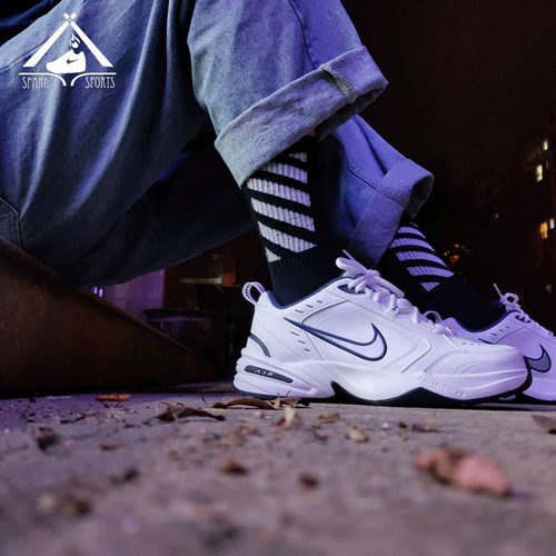 Nike白蓝415445-102跑步运动鞋