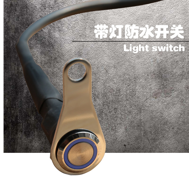 摩托车电动车防水开关九号双闪