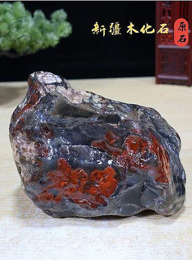 精品新疆木化石  原石摆件 硅化木 木变石 奇石盆景石 观赏石