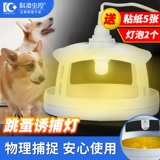 科凌虫控 За исключением ложек фонаря -фонаря блохльной моты