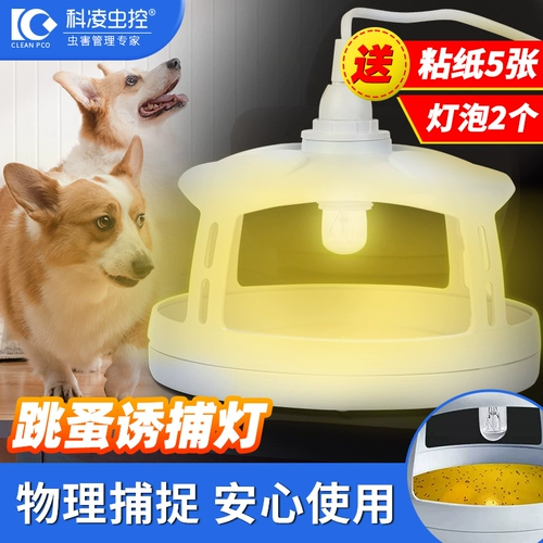 科凌虫控 За исключением ложек фонаря -фонаря блохльной моты