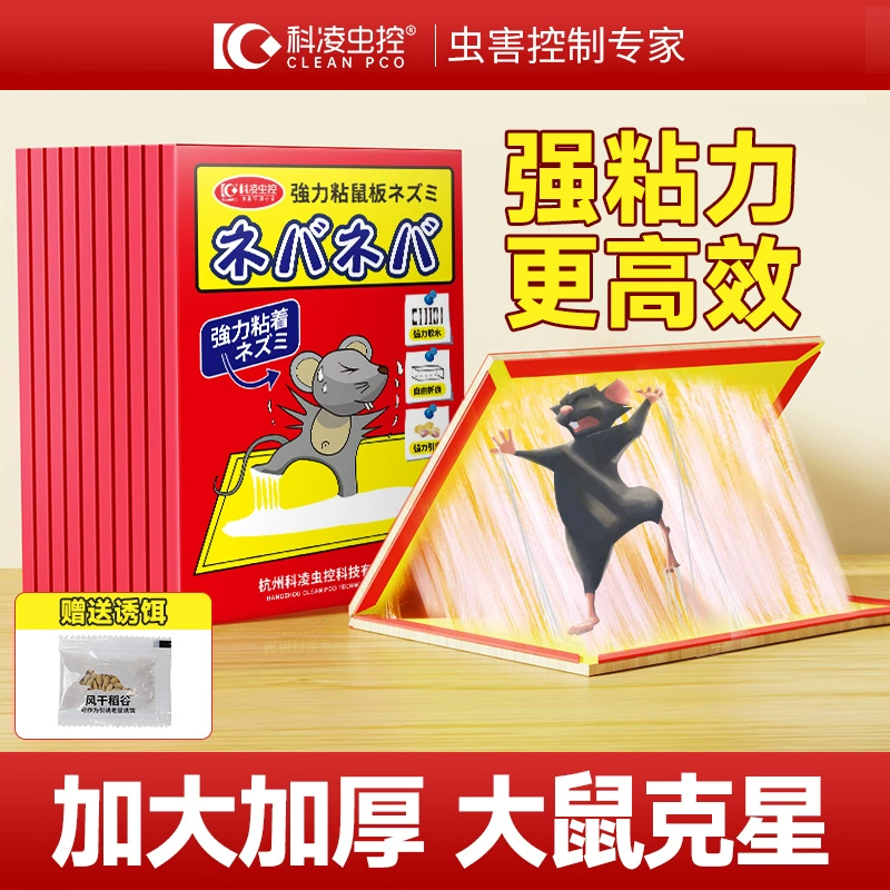 科凌虫控粘鼠板强力捕鼠神器