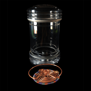 S98李勇罐65*125徐一舟青蛙簧蝈蝈活体饲养过冬亚克力有机鸣虫具