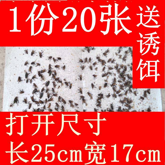 20张粘蝇纸苍蝇贴强力粘沾苍蝇帖蚊蝇灭蚊纸小飞虫胶粘虫板家用。